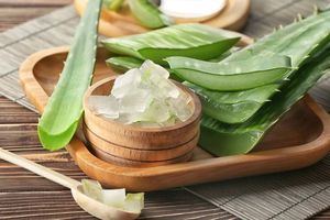 Aloe Vera Congelado en Cubos IQF, Sin Conservantes, Precio al por Mayor - Product Image 5
