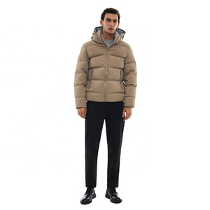Nouvelle veste matelassée fine pour homme, imperméable, coupe-vent, à capuche, sur mesure, style streetwear, prix bas - Product Image 1