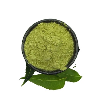 Poudre de feuilles de Neem 100% naturelle, riche en nutriments, qualité cosmétique pure, pour renforcer et favoriser la croissance des cheveux - Product Image 4