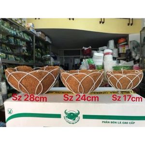 Tazón de Coco de Calidad Confiable 2026, Material Duradero y Limpio para Servir Postres y Mejorar el Estilo de Presentación de Alimentos - Product Image 6