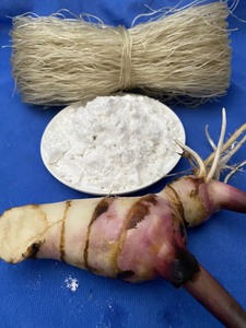 Almidón de Araroto Orgánico al Mejor Precio, Sabor Natural para Alimentos e Ingredientes, Empacado en Bolsa, Origen Vietnam - Product Image 2