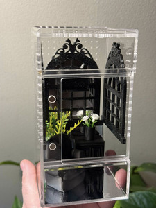 <span class=keywords><strong>Terrarium</strong></span> en acrylique transparent pour <span class=keywords><strong>araignée</strong></span> sauteuse pour tarentule et mante religieuse - Product Image 3
