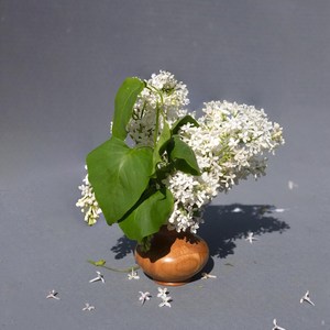 Jarrones de Bambú Natural Hechos a Mano de Alta Calidad y Ecológicos, Macetas y Decoración para el Hogar, Artesanías Premium - Product Image 2