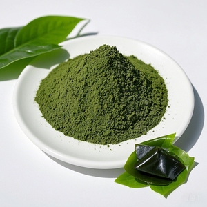Extracto de Algas Marinas en Polvo Fino para Aplicación en Suelos, Extracto de Algas Marinas Premium en Polvo para Nutrición de Cultivos - Product Image 5