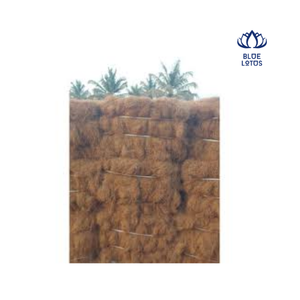 Fibre de coco naturelle Blue Lotus ECO, matière première issue de Ben Tre, pour substrat horticole et distribution en gros - Product Image 1