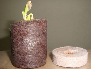 ผู้จัดจำหน่ายแผ่นใยมะพร้าวเวียดนาม – วัสดุปลูกแบบออร์แกนิกและเป็นมิตรกับสิ่งแวดล้อม // คุณทอม - Product Image 5