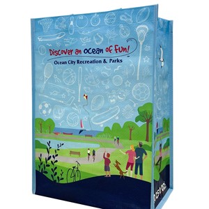 Bopp flexo in tay chiều dài xử lý tùy chỉnh màu sắc mới hàng đầu túi nhựa ống đồng in PP Việt Nam DệT Túi - Product Image 4