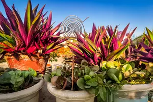 Varillas de Cobre 100% Naturales para Cultivo Electrolítico en Jardín, para Estimular el Crecimiento de las Plantas y la Salud del Suelo, a Precio de Mayoreo - Product Image 2