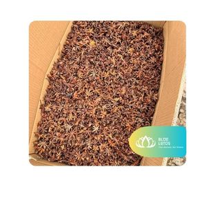 [สินค้าขายดี] โป๊ยกั๊กบลูโลตัสฟาร์ม (รูปทรงกลม) อบแห้งสำหรับอุตสาหกรรมอาหาร รับสั่งส่งออก เยนไป๋ 18 - Product Image 1