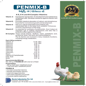 Skyridge Nutratech Penmix-B Vitamin D3 E K B-Complex Broiler Poultry <b>Feed</b> <b>Additive</b> Powder High Workable Immune Booster - Product Image 3