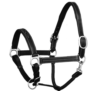 Haute qualité anatomique rembourré en cuir cheval licou muserolle surélevé rembourré tête pièces boucle en laiton taille personnalisée compétitif - Product Image 4