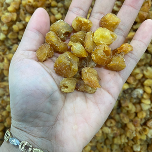 ลำไยแห้งธรรมชาติจากเวียดนาม สำหรับชาสมุนไพรแสนอร่อยและส่วนผสมในซุปหวาน จากบริษัท 99 โกลด์ ดาต้า เอ็กซ์พอร์ต - Product Image 5