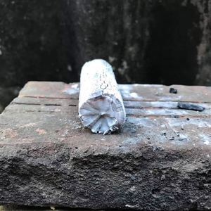 Carbón de manguezal premium BIWOOD VIETNAM, de combustión limpia, sin olor, de larga duración, con acabado de ceniza blanca. - Product Image 1