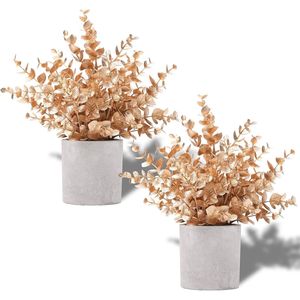Set di 2 Piante Artificiali di Eucalipto Dorato, Piccole Decorazioni Natalizie in Vaso per Mensole, Scrivanie, Casa, Fattoria, Stanza, Caffetteria - Product Image 1