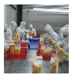 มะม่วงแช่แข็งสำหรับผู้นำเข้าระหว่างประเทศและตลาดอาหารขายส่ง - Product Image 6