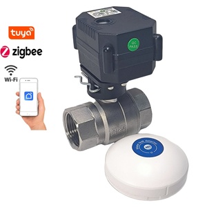 Válvula Motorizada Bidireccional IP67 WIFI Tuya Zigbee con Indicador, Latón SS304 UPVC DN15 DN20 DN25 DN32, Mini Válvula de Bola Motorizada - Product Image 5