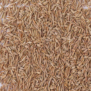 Semillas de Comino Indio Enteras de Nueva Temporada, Provenientes de la India, para Compradores Mayoristas que Buscan Comino Aromático para Exportación, Procesamiento y Alimentación - Product Image 5