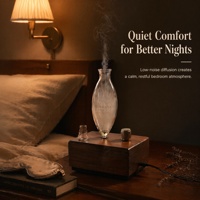 Diffuseur d'huiles essentielles sans eau en bois et verre de luxe, personnalisé, avec logo sur mesure, coffret cadeau