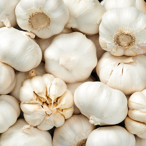 Premium Quality Non-GMO and Aromatic Flavor Fresh Garlic for Cooking Seasoning and Food Processing From India - Product Image 6