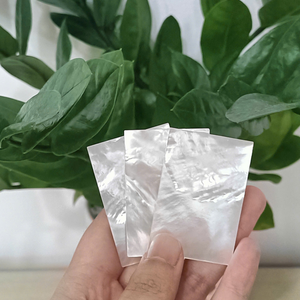 ชิ้นส่วนเปลือกหอยมุกธรรมชาติ |   วัสดุอัญมณีคุณภาพพรีเมียมสำหรับทำเครื่องประดับและงานฝีมือทำมือ |   ส่งออกสินค้าคุณภาพแบบขายส่ง - Product Image 1