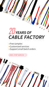 RY vendita calda <span class=keywords><strong>6pin</strong></span> JST PH 2.0 a <span class=keywords><strong>Molex</strong></span> 51146-0500 1.25mm Pitch 5pin cablaggio - Product Image 4