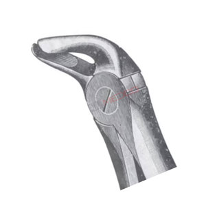 Figura. 13 Fórceps de Extracción de Dientes Premolares Inferiores de Diferentes Tamaños, Instrumentos Dentales Médicos, Precio al por Mayor, Proveedor a Granel - Product Image 1