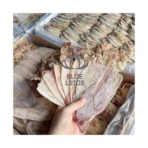 Calamar Séché de Haute Qualité 2026 pour Vente en Gros et Collation Quotidienne – Pur, Frais, Propre, Certifié, Entier, Prêt à l'Exportation - Product Image 1