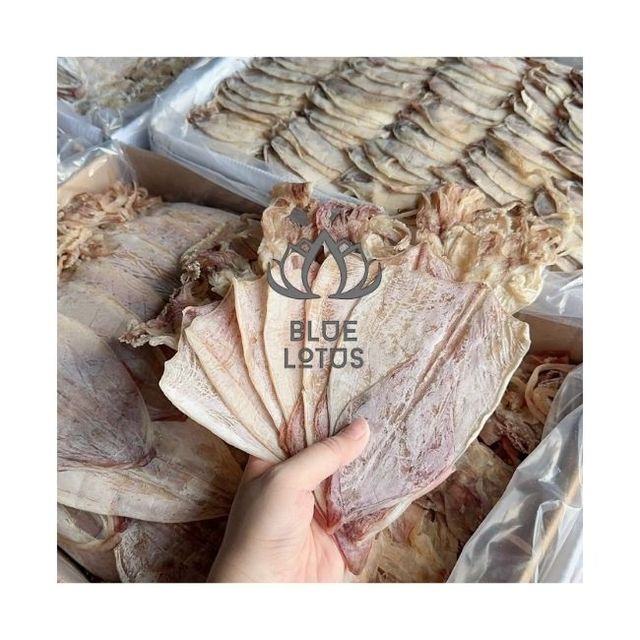 HIGH QUALITY 2026 Dried Squid For Bulk Wholesale And Daily Snacking Pure Ocean Fresh Clean Safe Certified Exporting Whole S