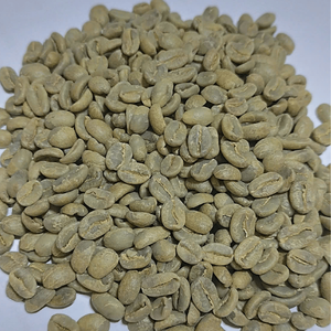Premium Organic Non-GMO Arabica Green <b>Coffee</b> <b>Beans</b> IIGLOBAL FARM Grade From Dak Lak Vietnam - Product Image 6
