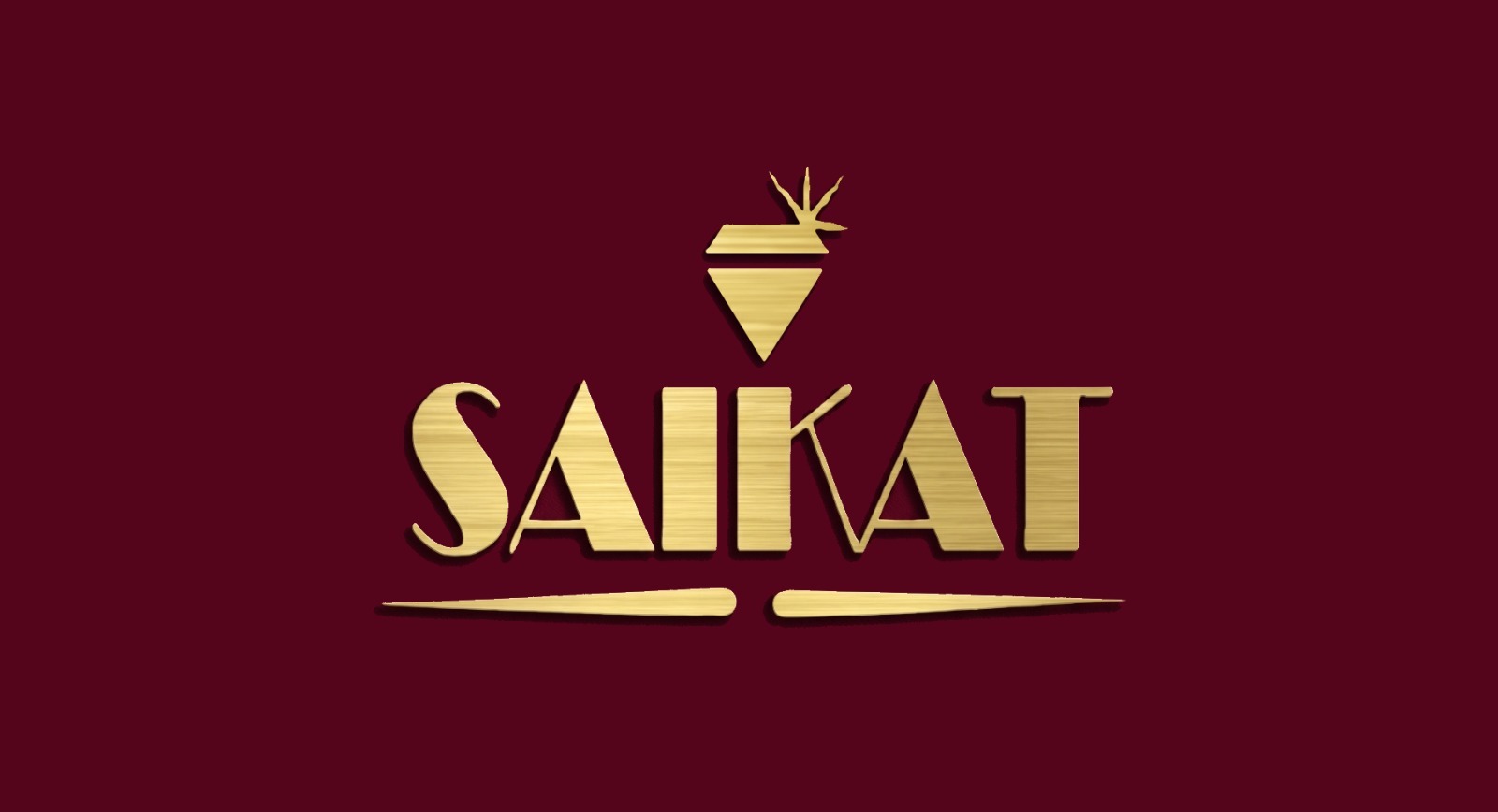 SAIKAT ENTERPRISE logo