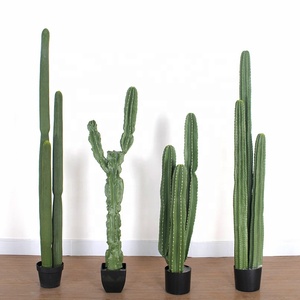 Plantes artificielles de cactus et succulentes pour la décoration intérieure, plusieurs styles disponibles - Product Image 1