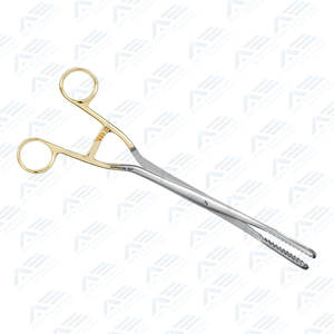 Pinces d'hiver pour placenta utérin et ovule, droites et incurvées, instruments chirurgicaux de qualité supérieure Instruments médicaux Outils médicaux - Product Image 4