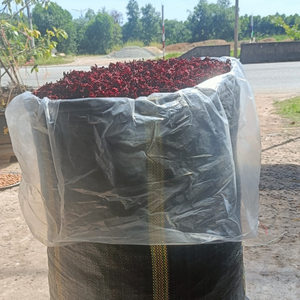 Fleur d'Hibiscus Sabdariffa Rouge Naturelle Séchée Biologique, Thé en Vrac de Qualité Supérieure pour Boisson Minceur, Ingrédient Alimentaire en Gros - Product Image 1
