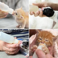 Kit d'alimentation pour animaux de compagnie nouveau-nés, biberon de 55 ml avec tétines en silicone de remplacement pour chatons, chiots, lapins
