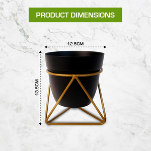 Juego de 2 Macetas de Metal Negro con Soportes de Hierro, Macetas Elevadas Modernas para Decoración Interior Contemporánea, Jardín Interior - Product Image 2