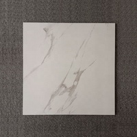 Décoration intérieure : Carreaux muraux et de sol en porcelaine 60x60 style ferme, briques réfractaires pour salle de bain et couloir, haute qualité, garantie à vie