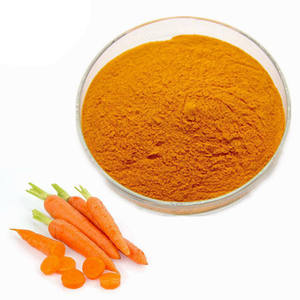 Poudre de racine de carotte 100 % pure de qualité supérieure, poudre de carotte naturelle en vrac, idéale pour les jus, les mélanges de boissons et les soupes - Product Image 6