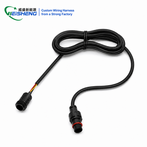 中国工厂定制LED线束M12防水连接器3针IP67/68组装电缆 - Product Image 1