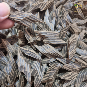 Copeaux de bois d'oud de tigre 100% naturels du Vietnam, de haute qualité, pour la méditation - Product Image 2