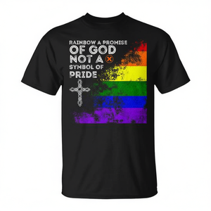 Camiseta con diseño de arcoíris, una promesa de Dios, no un símbolo de orgullo, para adultos, unisex, cuello redondo, manga corta, regalos religiosos para la iglesia, digital - Product Image 2