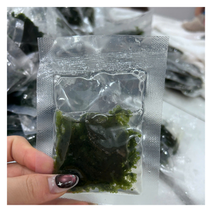 Algas Verdes Deshidratadas Premium de Vietnam para Exportación al por Mayor con Empaque OEM para Cadenas de Tiendas Minoristas - Product Image 1