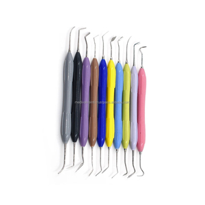Medivolve 10Pcs Manual Reusable Silicone Handle Dental Composite Instruments Kit for Style CE ISO OEM ODM Wholesale Supplier - Product Image 2