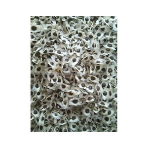 Fournisseur indien d'huile de graines de Moringa biologique pure de qualité supérieure à 100% pour la consommation humaine - Product Image 6