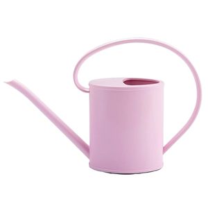 Arrosoir pour plantes d'intérieur, pot d'arrosage de jardin, carafe à eau, arrosoir pour plantes d'intérieur et d'extérieur, fleurs - Product Image 1
