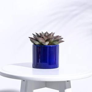 Pot de fleurs en céramique blanc brillant, design conique lisse, support de plante d'intérieur durable, accent de décoration moderne et minimaliste pour la maison - Product Image 6