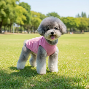 Ropa para Mascotas al por Mayor, Camiseta de Algodón para Perro, Chaleco para Cachorro de Colores, Ropa Ligera y Flexible para Gato de Color Sólido - Product Image 4