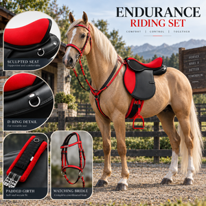 Conjunto Completo para Montar a Caballo |   Silla de Montar Inglesa Sintética Endurance con Brida, Cincha Acolchada y Estribos a Juego para Largas Distancias - Product Image 5