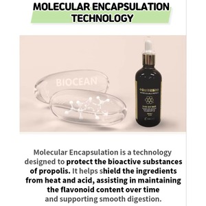 Spray buccal à base de plantes pour le soutien immunitaire et le soulagement de la gorge avec propolis liposoluble, complément antioxydant naturel - Product Image 2