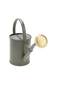 Arrosoir décoratif en métal élégant pour jardin domestique, bec long, résistant à la rouille, solution d'arrosage raffinée - Product Image 2