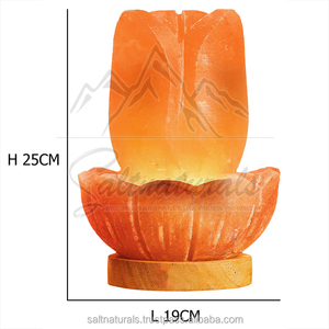 Natural <b>Crystal</b> Himalayan Salt Lamp For Home Decor Salt Lamp Soft Light Salt Lamp Peaceful Feel - Product Image 5